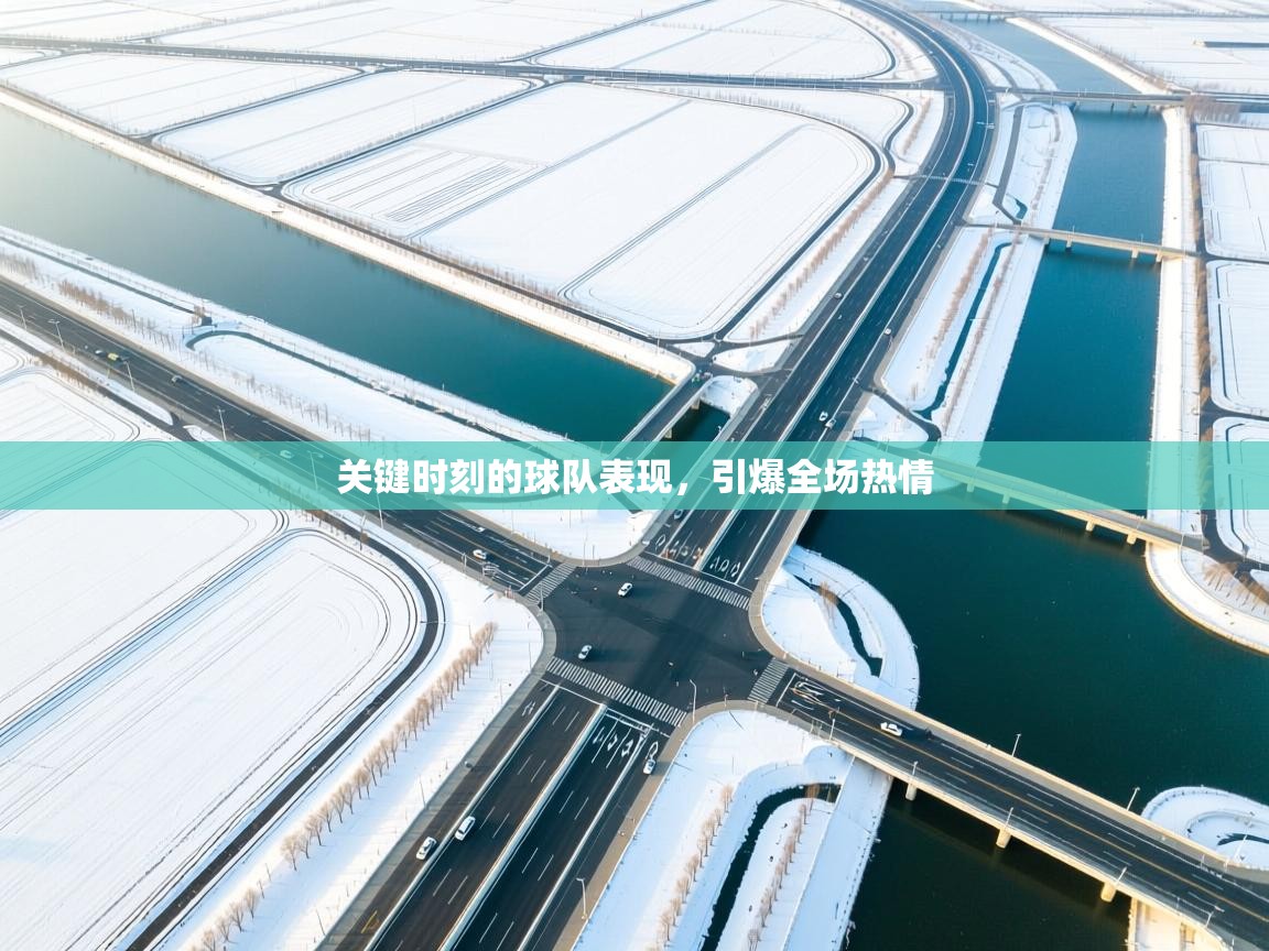 关键时刻的球队表现，引爆全场热情  第1张