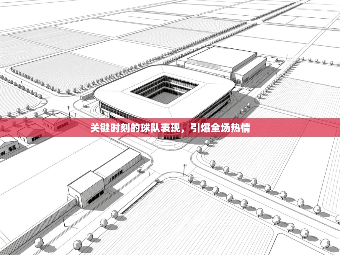 关键时刻的球队表现，引爆全场热情  第2张